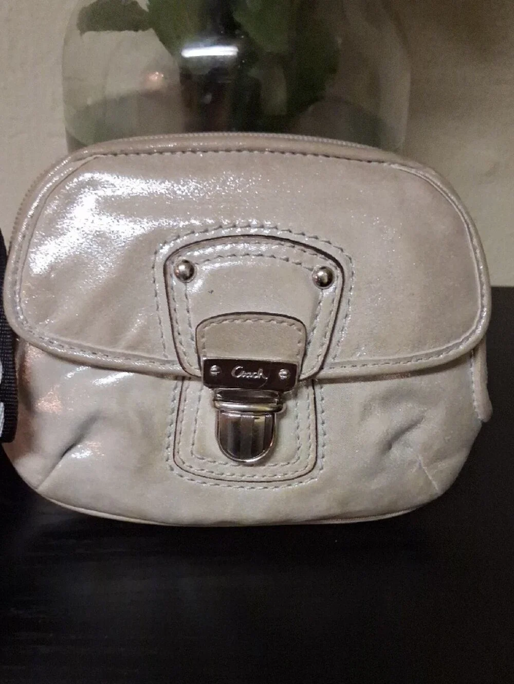 Coach Metallic Silver Light Champagne Wristlet with Front Push-Lock